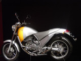 DSC01481 (Small).JPG