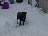 DSC01650.JPG