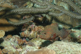 DSC_1710.JPG