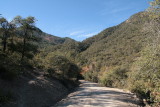 FR 112 - Looking back at the bridge across Sixshooter Canyon