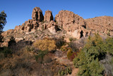 Looking toward the Herb Garden from the High Trail