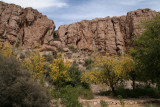 Jujube trees and the south slope of Magma Ridge