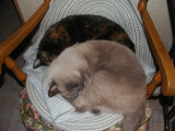 Boojum in the granny chair with Jigger