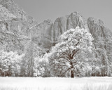 Yosemite