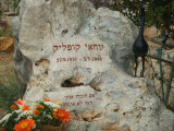 2009_05010119.JPG