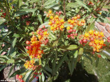 P40802371 A 1.JPG