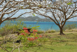 La Martinique, Mai 2007