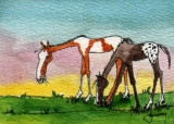 Yearlings 6-09