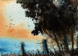 Hilltop Study #1 7-09