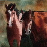 A Couple of Horses 4x4 1-10