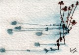 Cone Flower Shadows 1-10