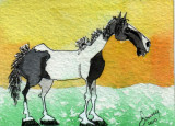 Jans Stormy Horse 5-10