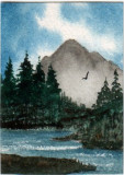 Free As A Bird 12-07
