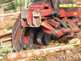 Logging. This thing strips the branches and saws it to lenght