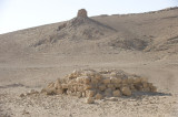Palmyra apr 2009 0016.jpg