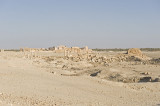 Palmyra apr 2009 0054.jpg