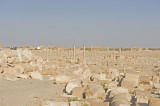 Palmyra apr 2009 0056.jpg