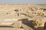 Palmyra apr 2009 0060.jpg