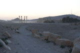 Palmyra apr 2009 0150.jpg
