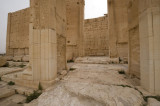 Palmyra apr 2009 0208.jpg
