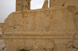 Palmyra apr 2009 0223.jpg