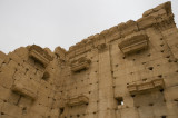 Palmyra apr 2009 0294.jpg