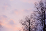 Mar 7, 2010