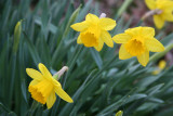 Apr 3, 2010