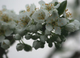 Apr 8, 2010