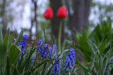 Apr 23, 2010
