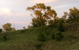 Jun 6, 2010