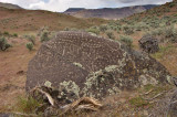 petroglyph