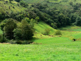 En el camino