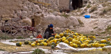 Mujer y calabazas