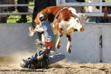 08_rodeo_cooma_15.jpg
