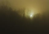 Foggy morning 7.jpg