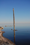 Reflection at the Salton Sea.