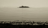 Munkholmen