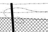 Barbed wire #1