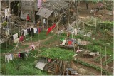 River settlement-Phnom Penh