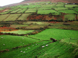 Dingle Peninsula