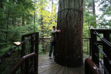 rain forest near Vancouver