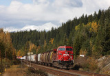 Canadian train