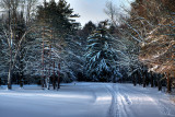 Emery Park