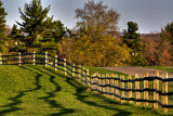 The Fence Row