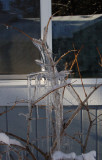 DSC_7906.JPG