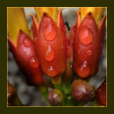 rainy day