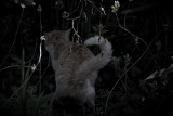 spring hunting season starts...