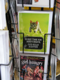 where have all the kittens gone?