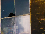 window reflection